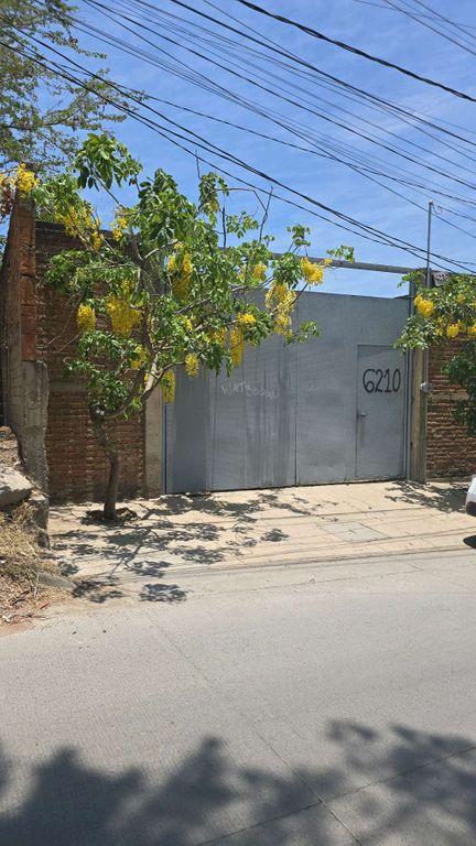 Foto de la galeria de imagenes